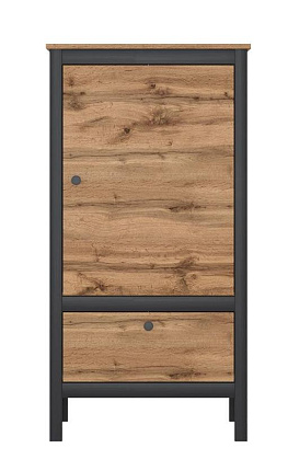 Шкаф  Loft REG1D1S/60