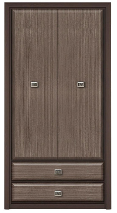 Шкаф  Коен Штрокс SZF2D2S