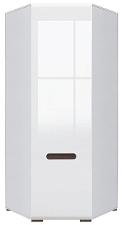 Шкаф угловой SZFN1D/21/10